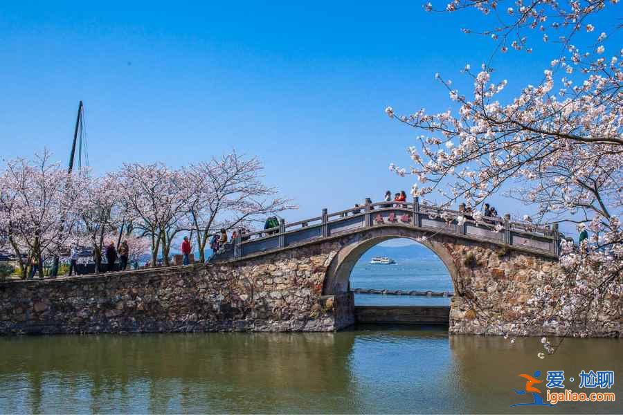春天哪里好玩？8大国内踏春旅游好去处？