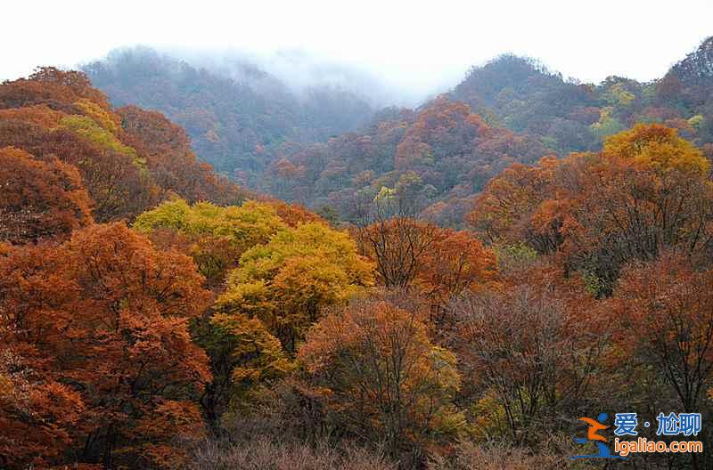 光雾山红叶什么时候红，2018光雾山红叶红了吗？