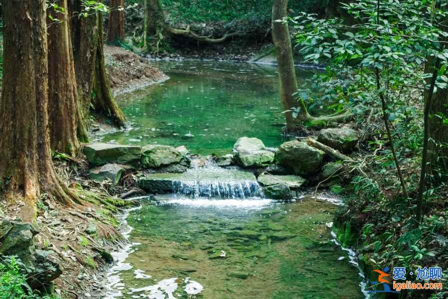 从杭州萧山机场怎么去市区，杭州萧山机场到市区有公交和地铁吗，杭州萧山机场到市区的交通指南？