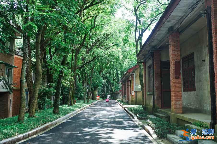 从杭州萧山机场怎么去市区，杭州萧山机场到市区有公交和地铁吗，杭州萧山机场到市区的交通指南？