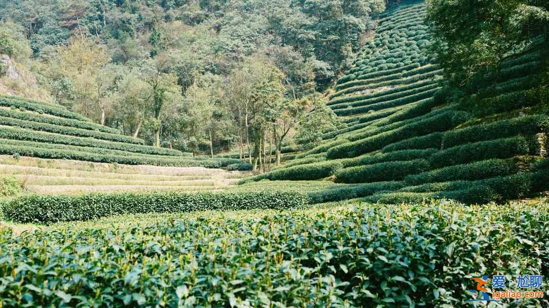 从杭州萧山机场怎么去市区，杭州萧山机场到市区有公交和地铁吗，杭州萧山机场到市区的交通指南？