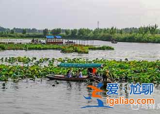 【路线】2018北京到白洋淀自驾游，北京到白洋淀怎么走？