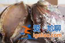 冻鲍鱼的家常做法？