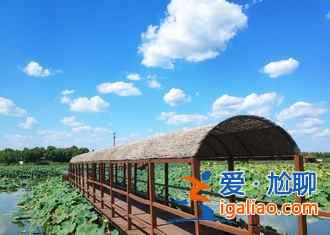 【路线】2018北京到白洋淀自驾游，北京到白洋淀怎么走？
