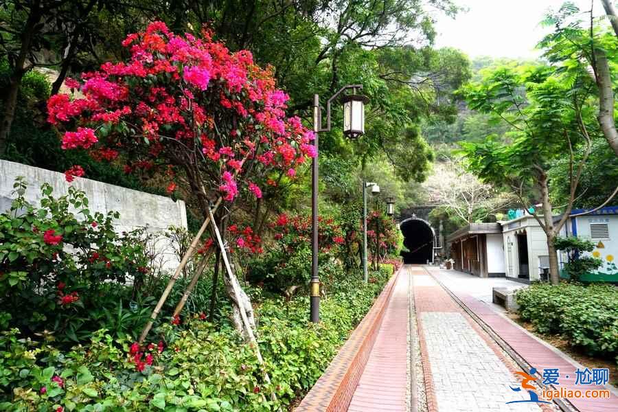 厦门徒步好去处，厦门哪里适合徒步，厦门徒步哪里好？