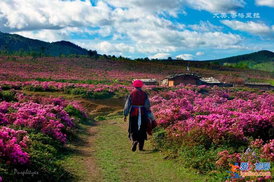 【旅行月历：5、6月】初夏国内最美八大旅行地？