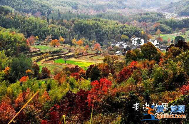 国内“秋装”最美的5座山，错过就要等一年？