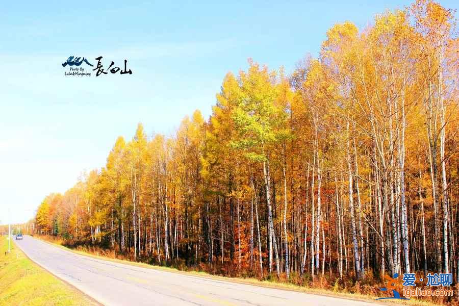 国内“秋装”最美的5座山，错过就要等一年？