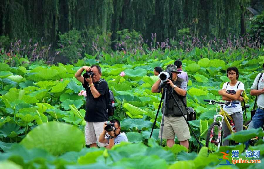 春天到了，盘点成都户外郊游胜地？