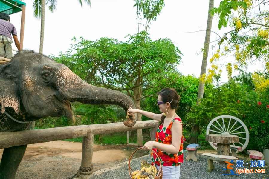 【普吉、苏梅和甲米哪个好】泰国普吉岛、苏梅岛、甲米哪个岛最好玩？