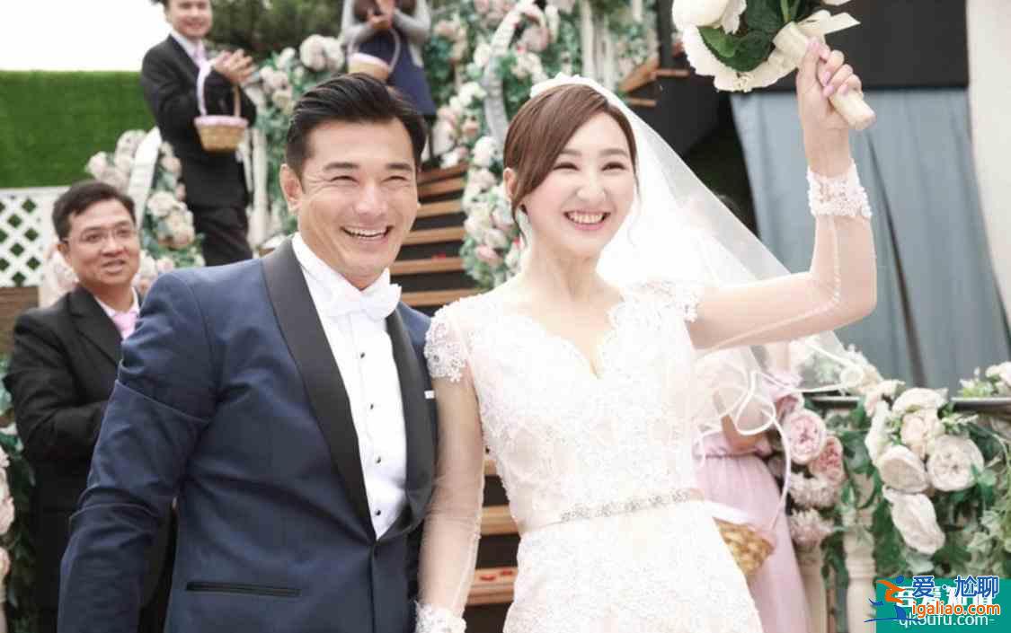 TVB新剧《迷网》剧情无亮点无惊喜，杨明高海宁依旧不够资格？？