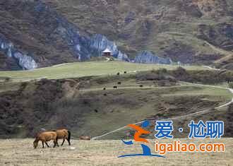 【成都到新都桥自驾游】2019成都到新都桥自驾游路线及攻略？