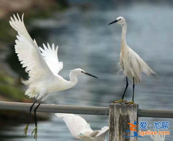 厦门小众景点有哪些?这五个景点不要错过!? 厦门小众景点有哪些?这五个景点不要错过!?