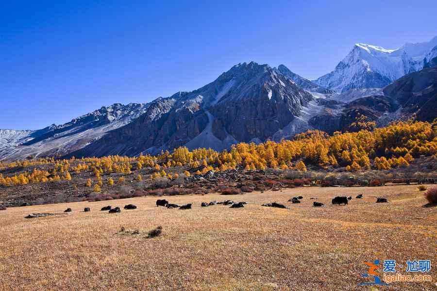 稻城热门景点有哪些，稻城热门景点好玩吗，稻城热门景点推荐？