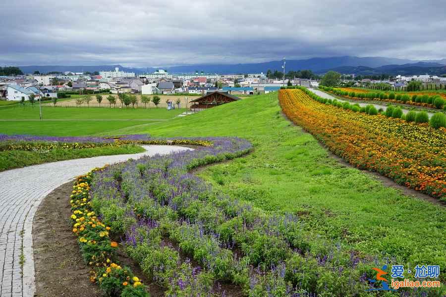 【北海道住宿推荐】日本北海道酒店TOP5，北海道温泉酒店推荐？