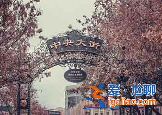 二龙山滑雪场游玩攻略，二龙山滑雪场出游秘籍？