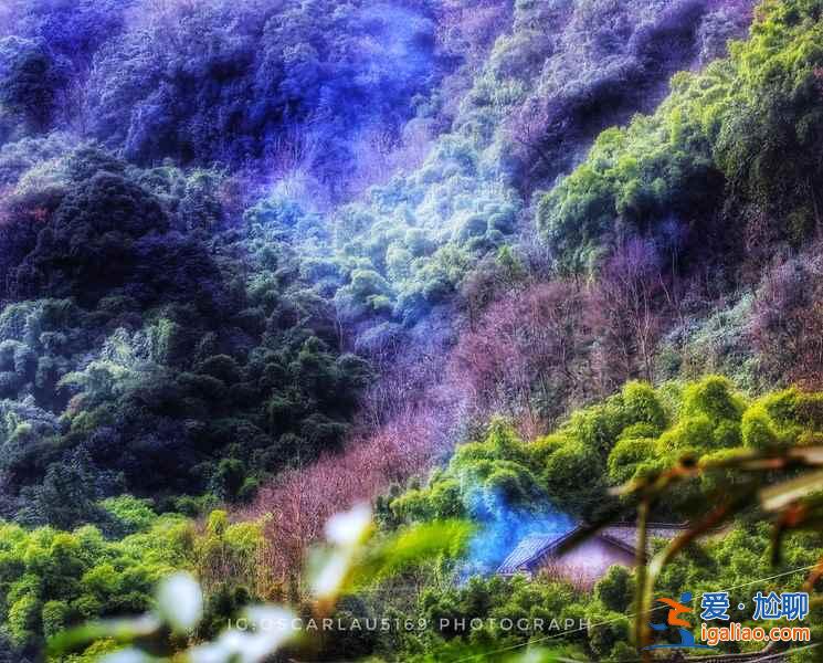 峨眉山有哪些网红景点，峨眉山网红景点好玩吗，峨眉山网红景点推荐？