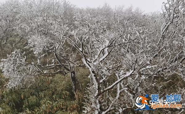 低温蓝色预警！南方降水频繁 12省区部分地区气温偏低5℃？