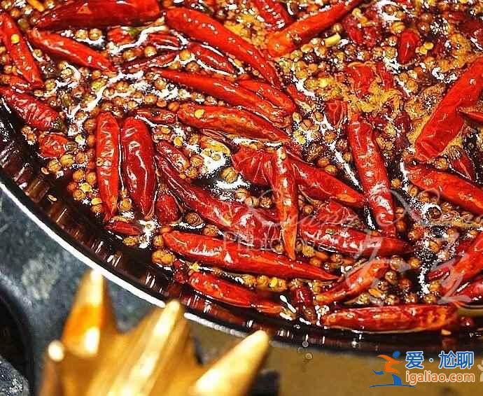 【成都火锅店被吃垮】成都火锅有多好吃，成都火锅你真的会吃吗？