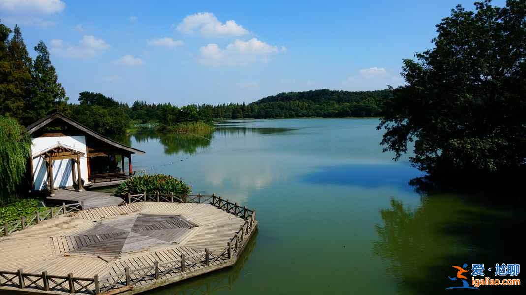 厌倦了快节奏?那就去茅家埠感受乡野田趣吧!? 厌倦了快节奏?那就去茅家埠感受乡野田趣吧!?