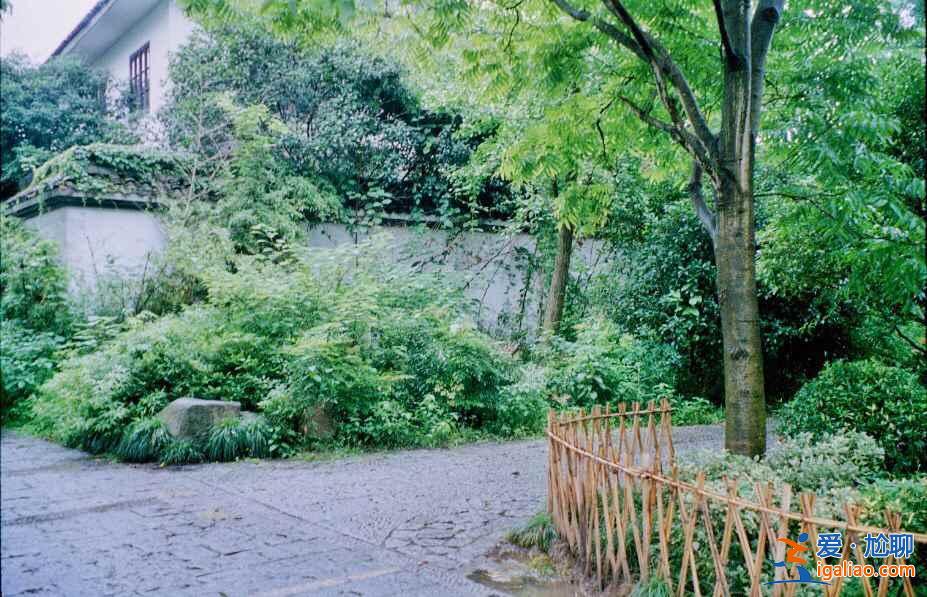 厌倦了快节奏?那就去茅家埠感受乡野田趣吧!? 厌倦了快节奏?那就去茅家埠感受乡野田趣吧!?