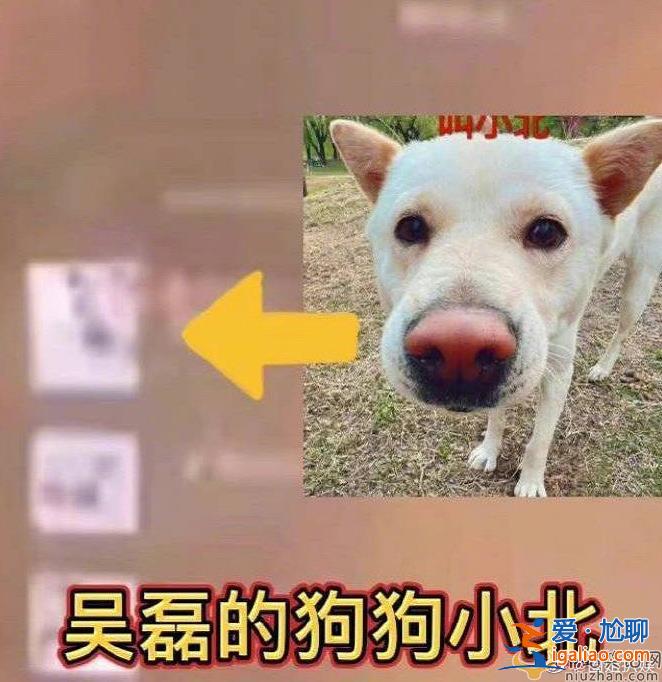 网曝吴磊微信置顶疑是向涵之  吴磊向涵之疑似恋爱？