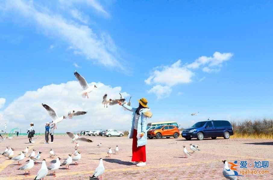 来青海湖，让你感受大自然无与伦比的美？