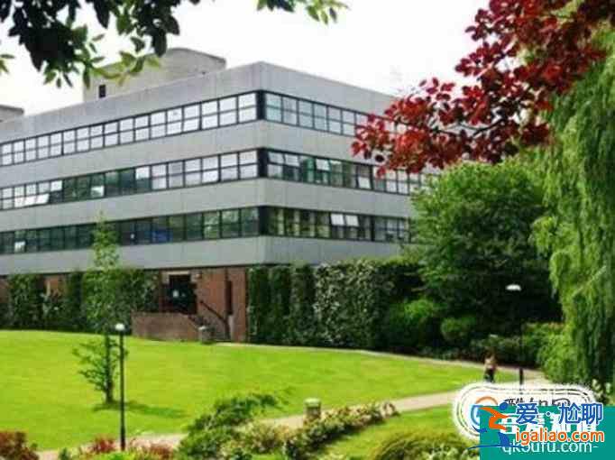 英国纽卡斯尔大学研究生预科学费及入学专业全面解析！？