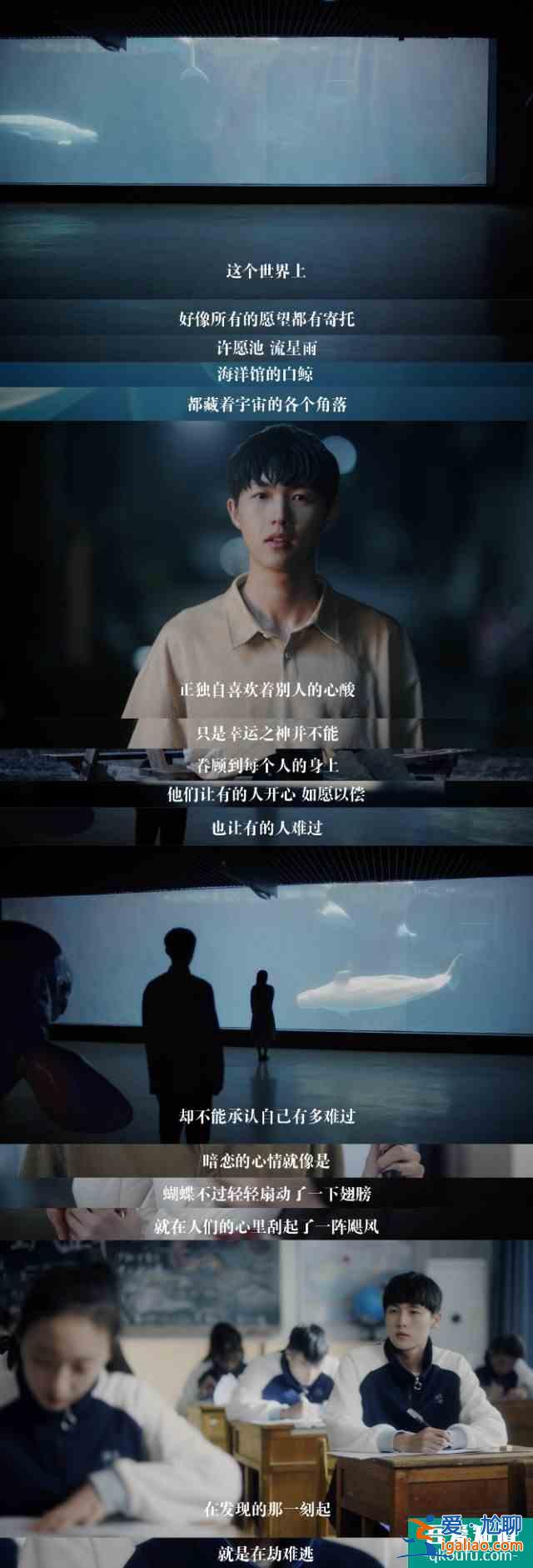 【推剧】如此可爱的我们？
