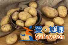 清炒土豆丝的做法大全？
