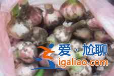 糖蒜的腌制方法？
