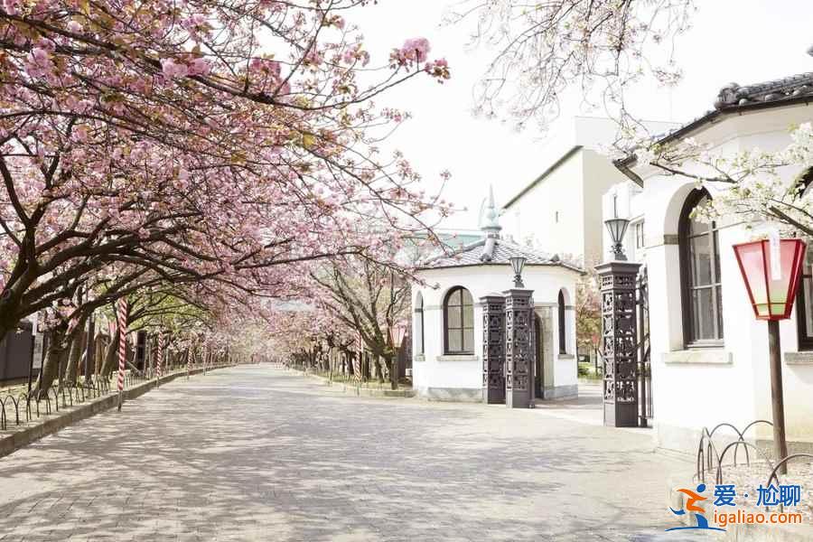 2019年大阪赏樱去哪好，2019年大阪赏樱地点推荐，2019年大阪赏樱攻略？