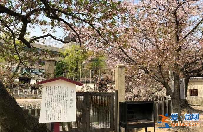 2019年大阪赏樱去哪好，2019年大阪赏樱地点推荐，2019年大阪赏樱攻略？