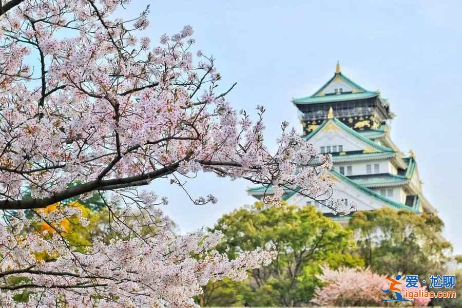 2019年大阪赏樱去哪好，2019年大阪赏樱地点推荐，2019年大阪赏樱攻略？