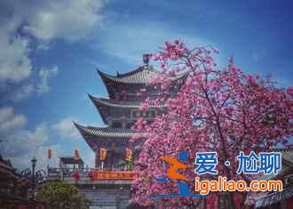 大理一日游怎么玩，大理一日游玩哪里好，大理一日游路线？