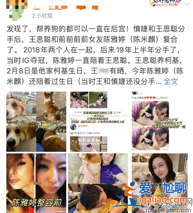 王思聪疑似与前女友陈雅婷复合?女方分手后一直深爱男方 王思聪吃回头草?