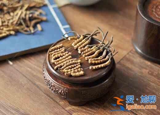 虫草怎么吃最好？