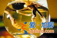 虫草怎么吃最好？