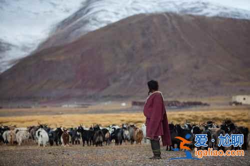 第一次去西藏需要注意什么，第一次去西藏一定要知道的27个常识？
