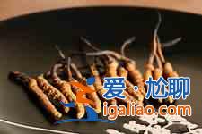 虫草怎么吃最好？