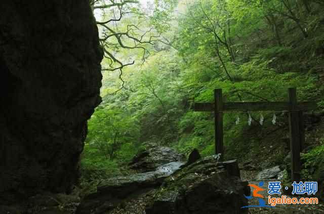 日本人死也不给人添麻烦，自杀都去一个地方？