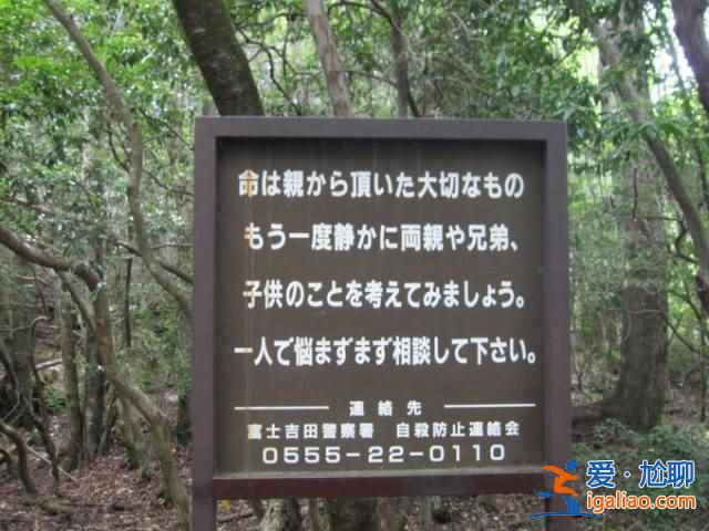 日本人死也不给人添麻烦，自杀都去一个地方？