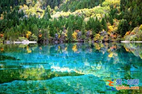 【中国最美的地方】中国最美的地方排行榜？
