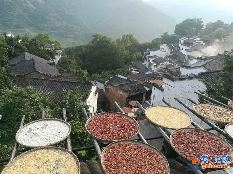 篁岭古村，极致的景色？