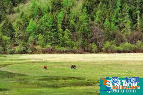 2021年冬天应该去哪里旅游？