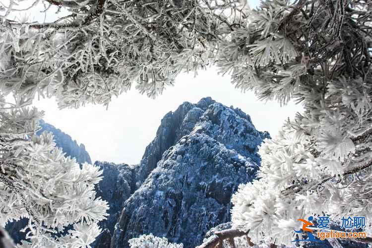【什么时候去黄山最好】2018黄山最佳旅游时间，黄山几月份去好？