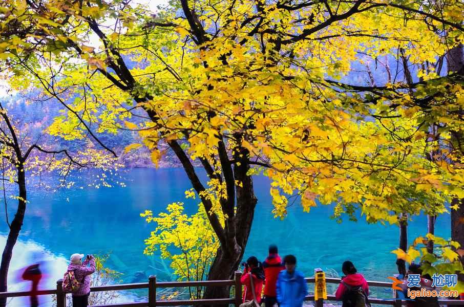 九寨沟离成都近还是重庆近，九寨沟在四川哪里？