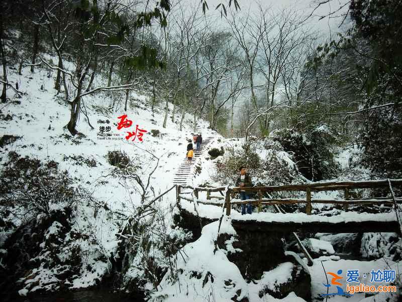 【西岭雪山门票】西岭雪山门票多少钱，西岭雪山门票价格？