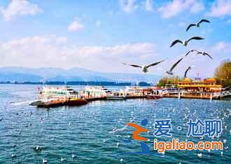 昆明，一个四季都花开不败的城市花园？