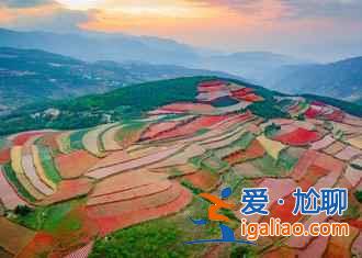 昆明，一个四季都花开不败的城市花园？